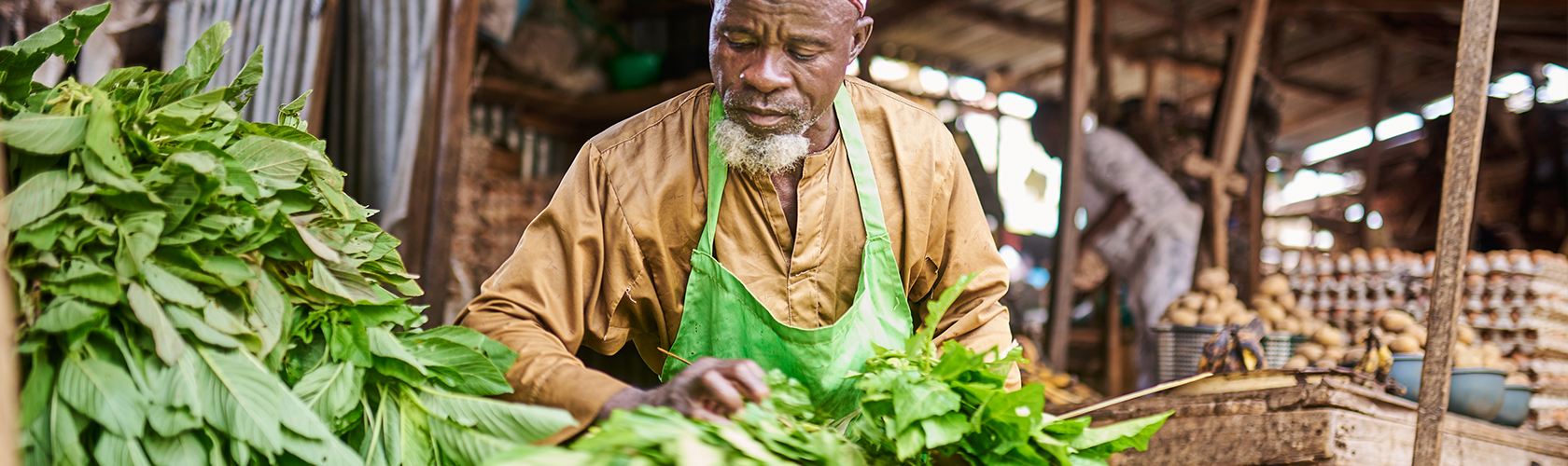 Improving Food Systems for Healthy Diets and Nutrition in Nigeria: Policies and Actions