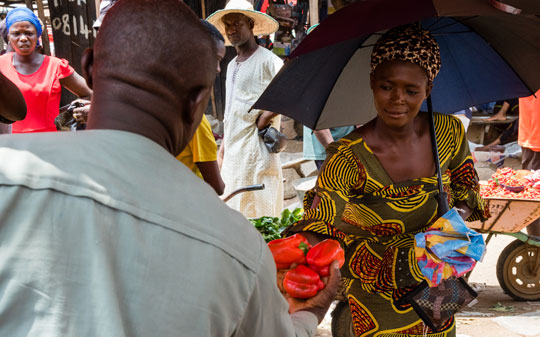 USAID and Eleanor Crook Foundation announce support for GAIN -Incofin ...