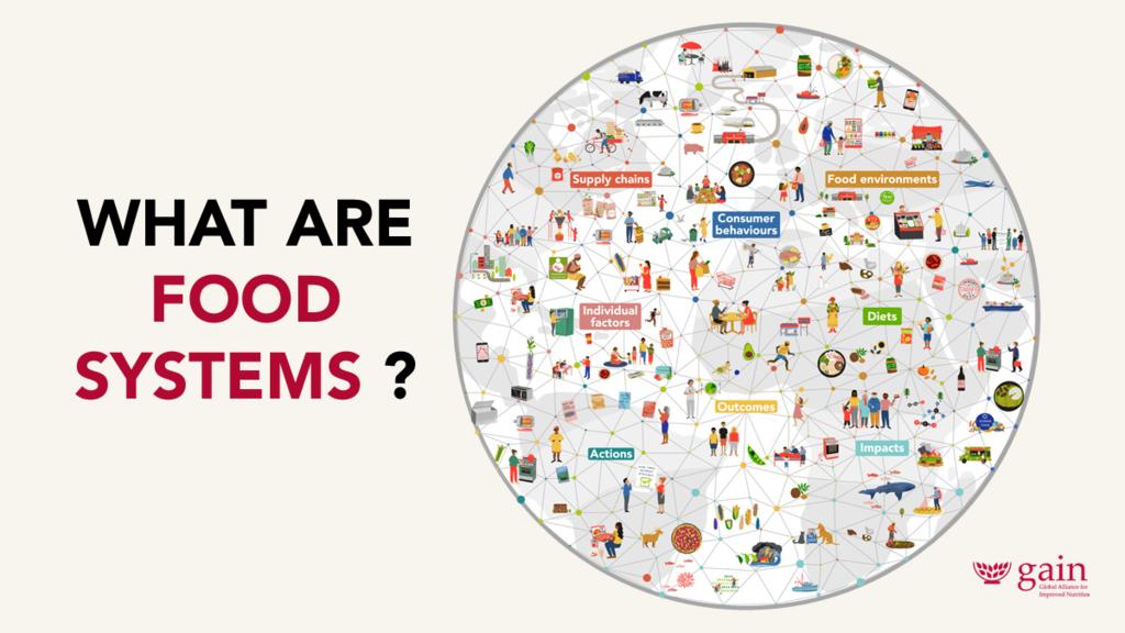 GAIN - What are food systems pamphlet