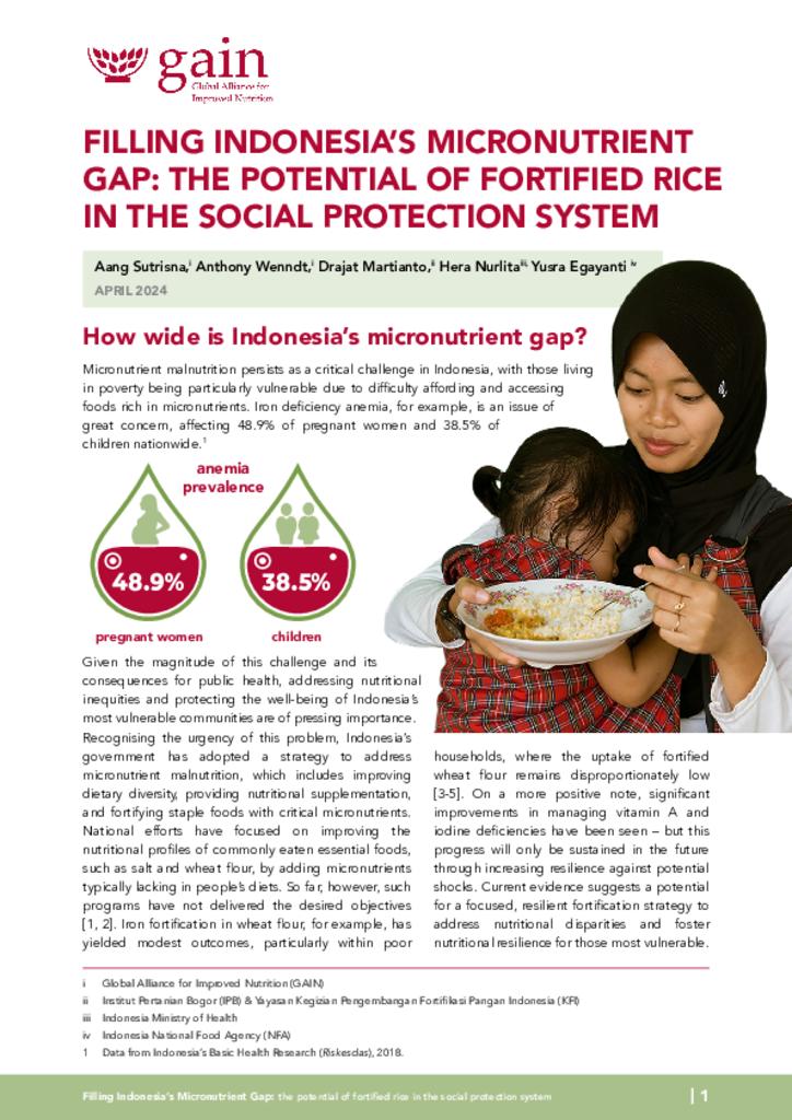Filling Indonesia’s Micronutrient Gap: The Potential of Fortified Rice in the Social…