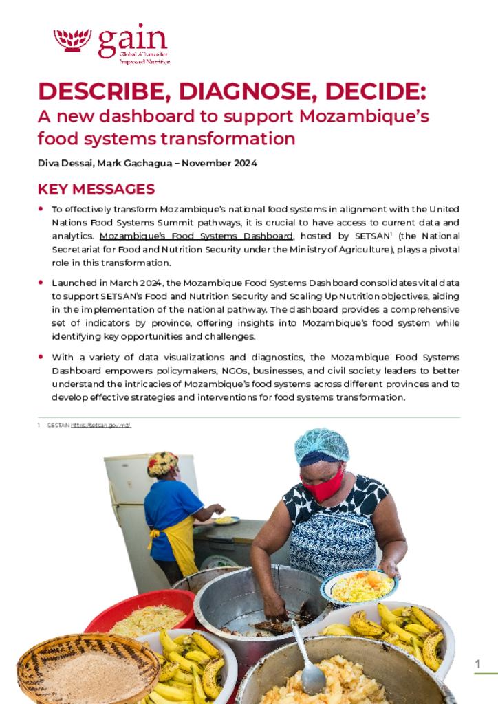 Mozambique Policy Brief