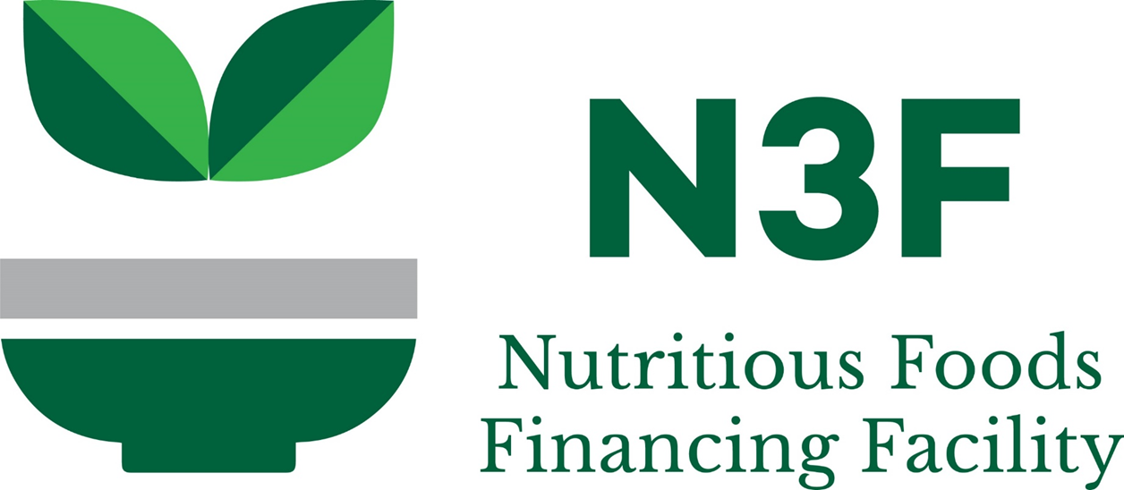 N3F Logo
