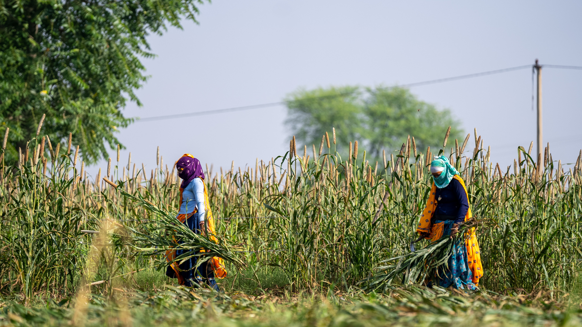 Navigating Climate Change: Impacts on Health and Nutrition