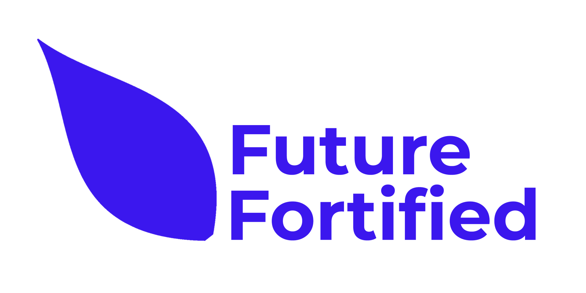 Future Fortified Logo