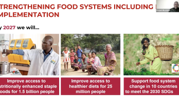 76th World Health Assembly Resolution on Micronutrient Fortification of Staple Foods to Prevent Birth Defects: The Way Forward