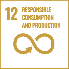 Responsible Consumption and Production