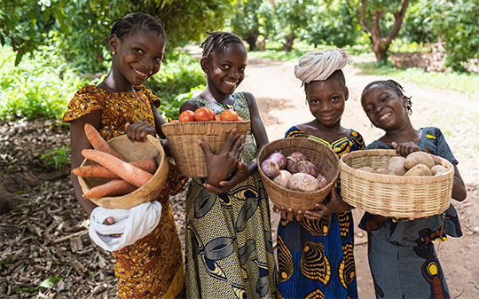 a group of young african girls a group of young african girls