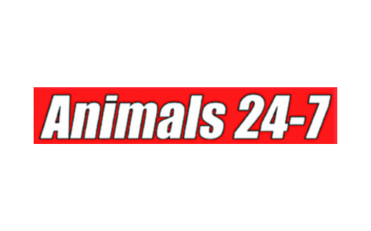 Animals 24-7