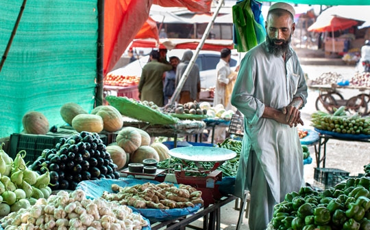 A selling vegatables in Pakistan under a green tent