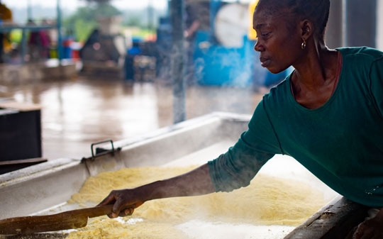 Woman processing maize 
