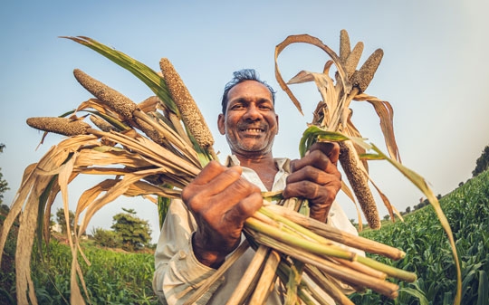 A man smiling while holding a handful of millet crops