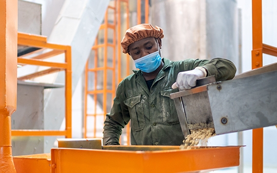 A worker in a mask watches as fortified grain comes out of a factory chute