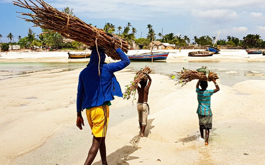 Man and children walking on a beach in mozambique carrying wood on their head