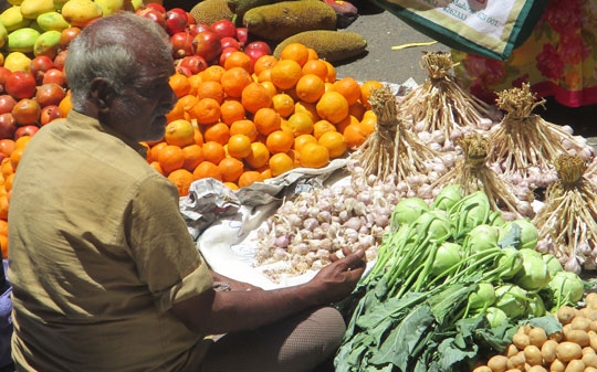 Man giving the shoulders to the camera and sitting at his stall surrounded by vegetables