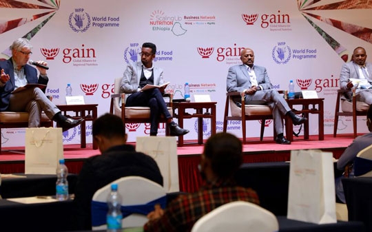 Media Conference discussion during the launch of the SUN Business Network in Ethiopia