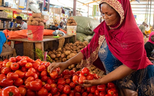 Woman wearing a red veil over head picking tomatoes from a food stall