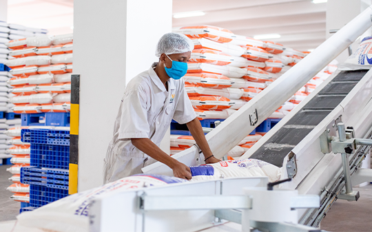 A man picking sacks of flour from a conveyor belt