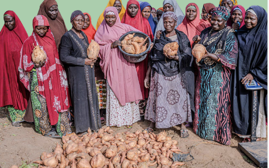 Towards a Food Systems-Transformative National Policy on Food and Nutrition in Nigeria