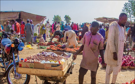 Traditional Nigerian food market in Kebbi State, Nigeria