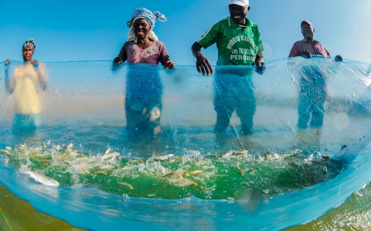 People catching fish