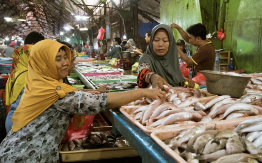 GAIN Briefing Paper n°16:NOURISHING PEOPLE AND PLANET ENVIRO-NUTRITIONAL INSIGHTS INTO LOCAL FOODS FOR POLICY, PROGRAMMES, AND INDUSTRY GAIN Briefing Paper n°16:NOURISHING PEOPLE AND PLANET ENVIRO-NUTRITIONAL INSIGHTS INTO LOCAL FOODS FOR POLICY, PROGRAMMES, AND INDUSTRY