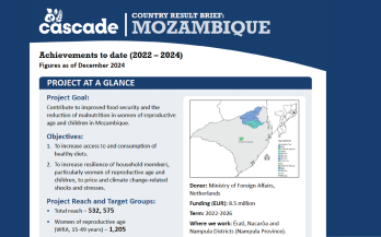 CASCADE Result Brief- Mozambique