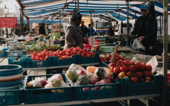 Committee on World Food Security- CFS 47 