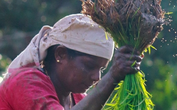 The need for transformational dietary shifts – Davos side event