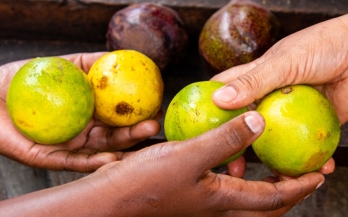 GAIN commitments to transform food systems
