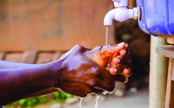 In the pursuit of improved nutrition, food safety is a non-negotiable