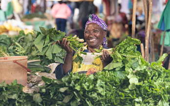 If the farmer grows, who will buy? Building Demand under the Vision for Adapted Crops and Soils (VACS)