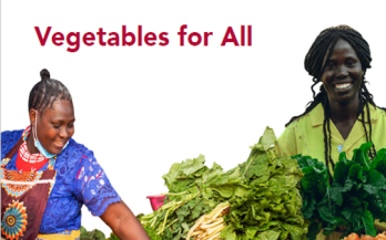 GAIN Kenya Vegetables for All Project Brief