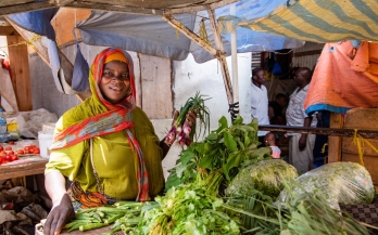 DEcent LIVelihoods for small-scale producers delivered through Economic & Resilient food systems in Nigeria Project