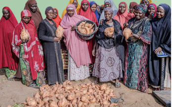 Towards a Food Systems-Transformative National Policy on Food and Nutrition in Nigeria