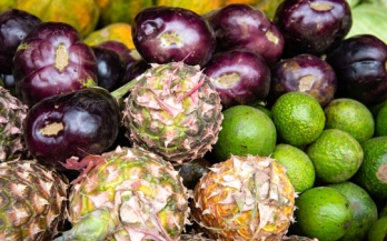 GAIN Briefing Paper Series 10 - Business Models for reaching lower income consumers with nutritious foods