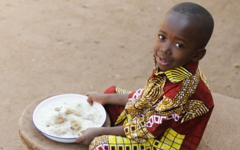 GAIN Discussion Paper Series 10 - Transforming Food Systems to deliver nutritious foods: The vital roles of Fortification and Biofortification