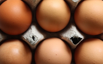 GAIN Briefing Paper Series 6 - Value chain analysis and market assessment for eggs in Mozambique
