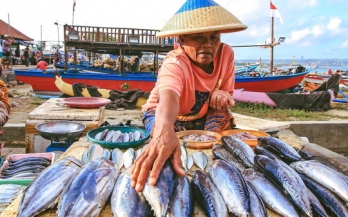 Driving innovation and collective action in Indonesia’s fish value chain