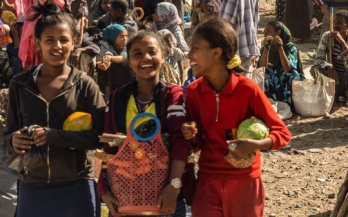 Ethiopia's path to food systems transformation