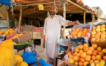 Improving Access to Finance for Small and Medium-Sized Food Enterprises for a Better-Nourished Pakistan