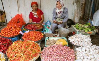 Strengthening Food Rescue Efforts in Indonesia: A Pathway to Sustainable Food Security