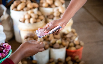 The Case for Investment in Nutritious Foods Value Chains: An Opportunity for Gender Impact (Case Studies)