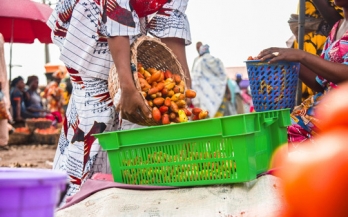 GAIN Working Paper Series 16 - Business opportunities to reduce post-harvest loss of nutritious foods