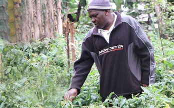 Joseph Mbatia, a fish farmer in Kenya